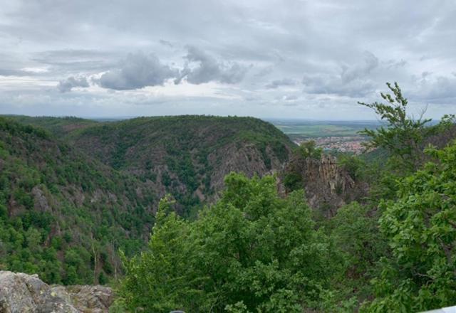 Unser Ferienhaus Im Harz Thale Bagian luar foto